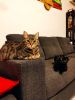 Betty & Chloe 6